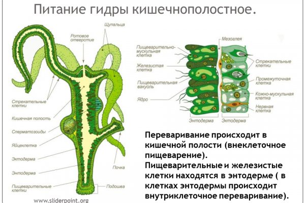 Megaruzxpnew4af onion com мега сайт