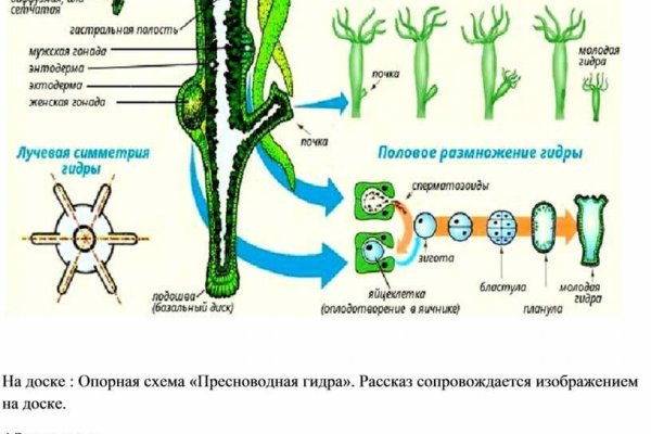 Новые ссылки для тор браузера BlackSprut